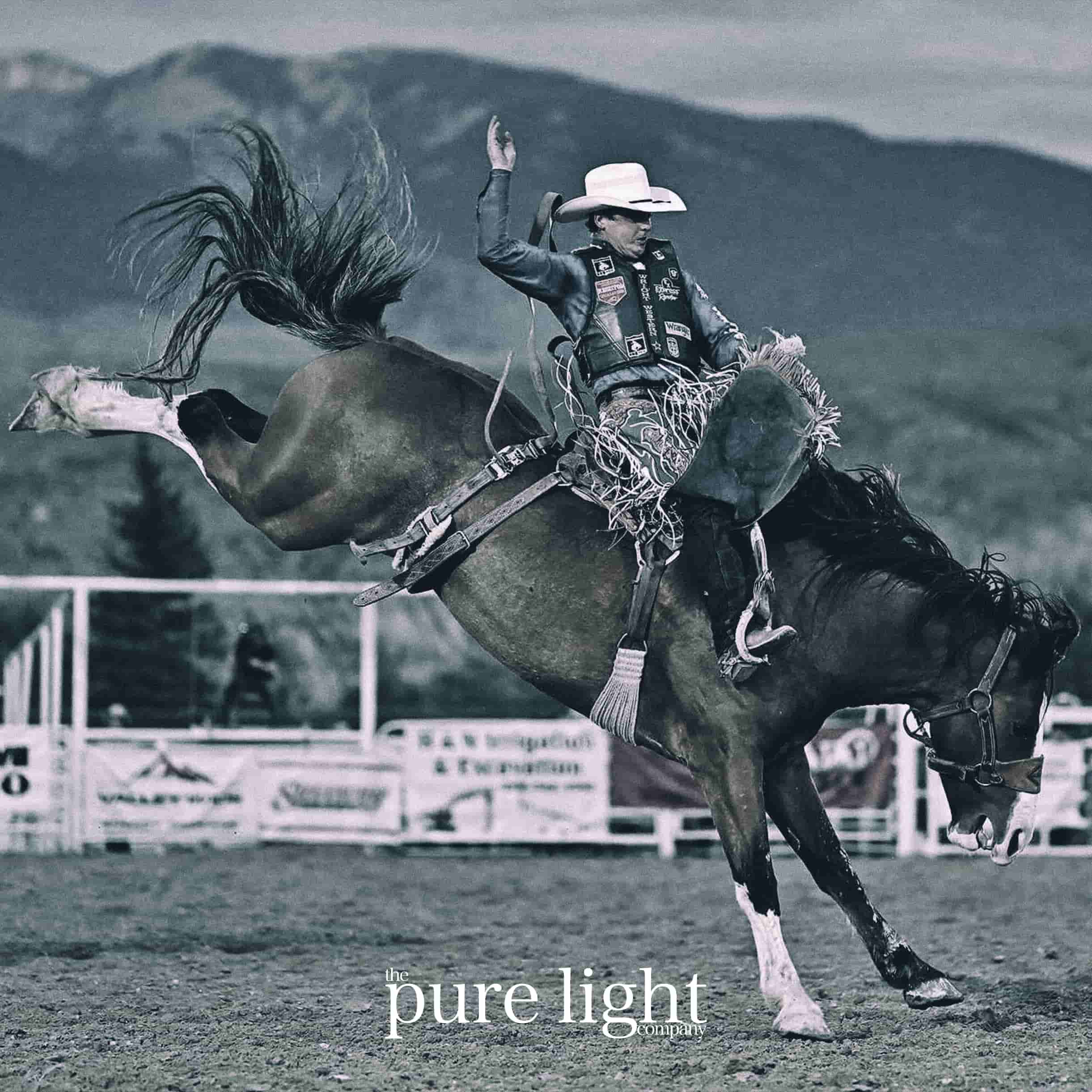 A cowboy rodeo rider on a bucking horse with The Pure Light Company logo.