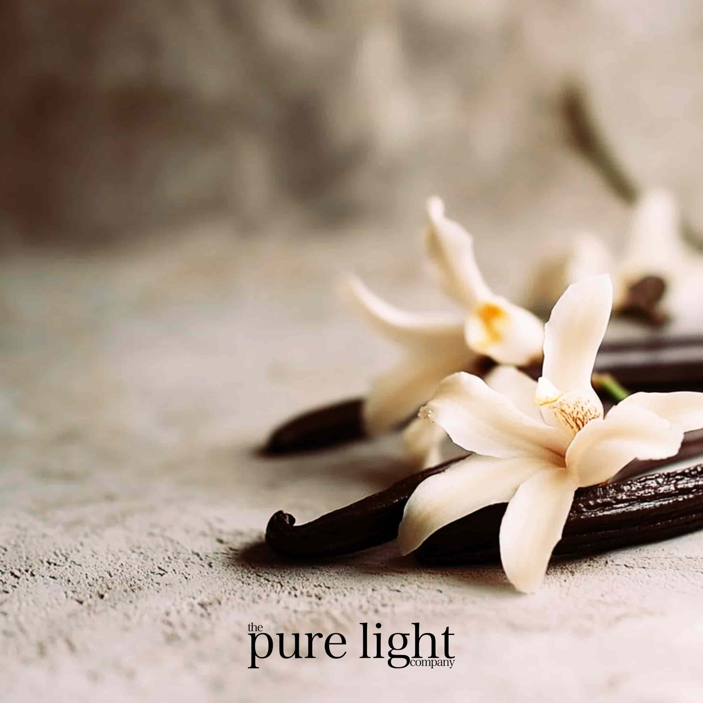 A vanilla pod and vanilla flower for the Vanille Noir All-Natural Home Fragrance Collection by The Pure Light Company.